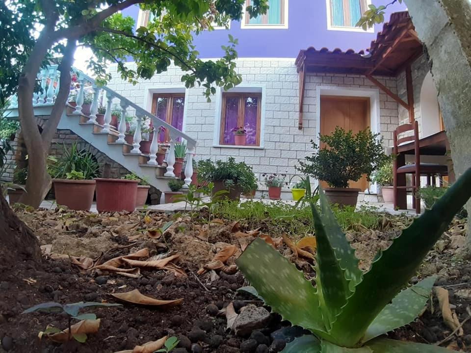 Guesthouse Hlias Gloria Berat Luaran gambar