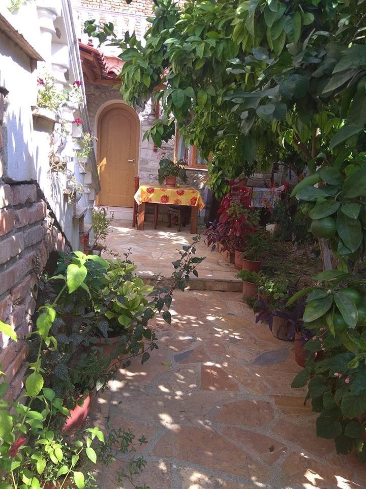 Guesthouse Hlias Gloria Berat Luaran gambar